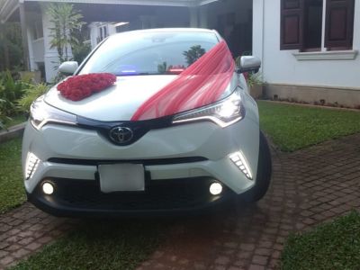 C-HR Wedding car 4